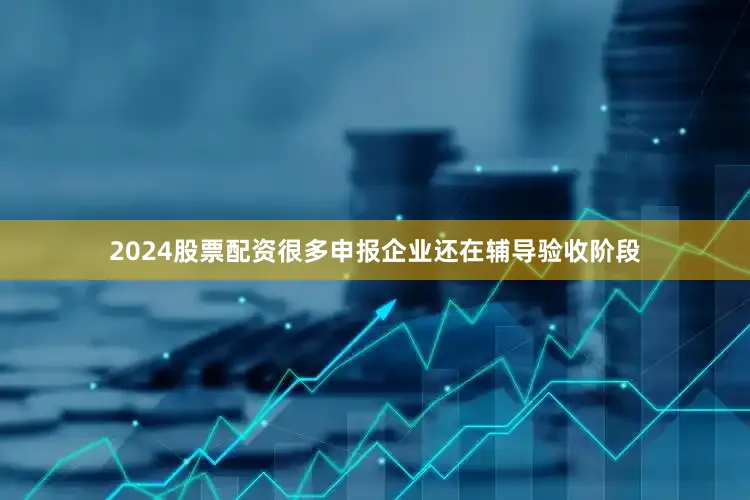 2024股票配资很多申报企业还在辅导验收阶段