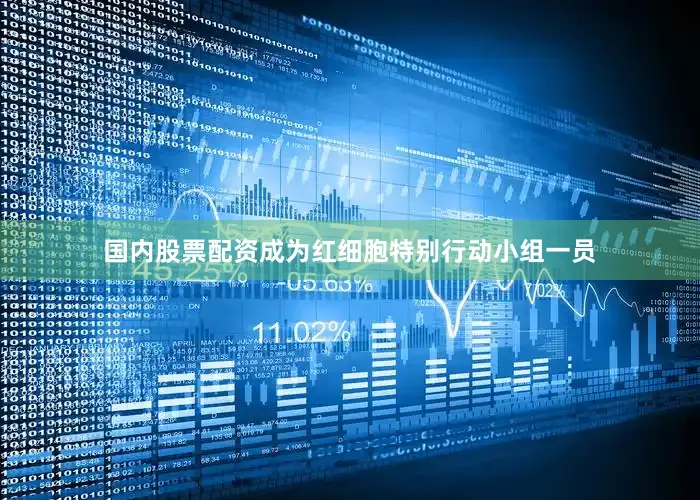 国内股票配资成为红细胞特别行动小组一员