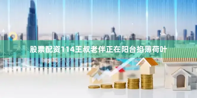 股票配资114王叔老伴正在阳台掐薄荷叶